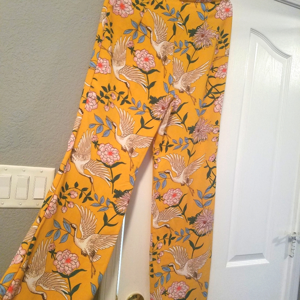 High waist pants